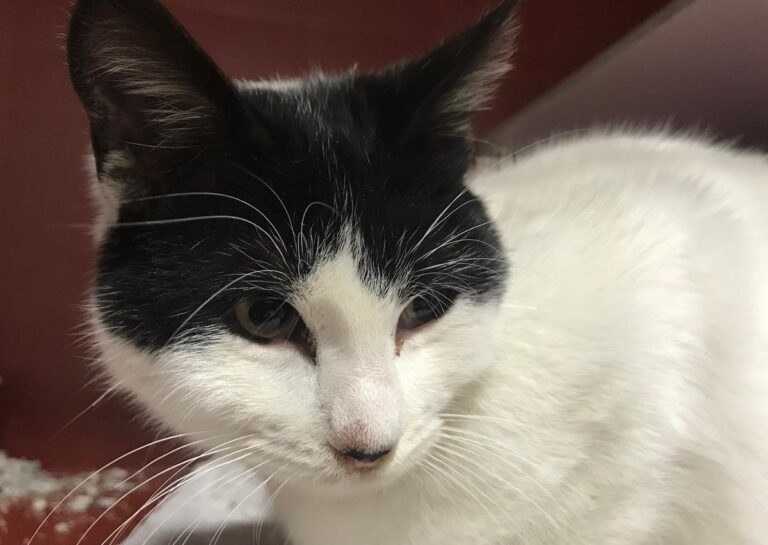 multimedia-foto69233-404-1