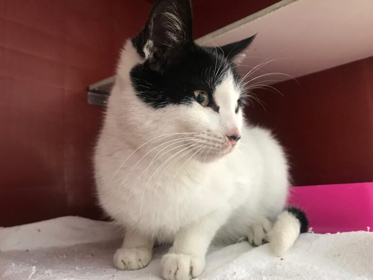 multimedia-foto69234-405-1