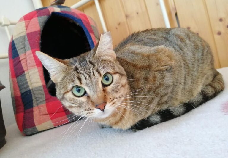 multimedia-foto69243-413-1