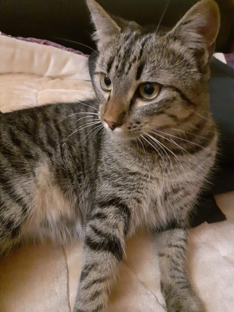 multimedia-foto69247-457-1