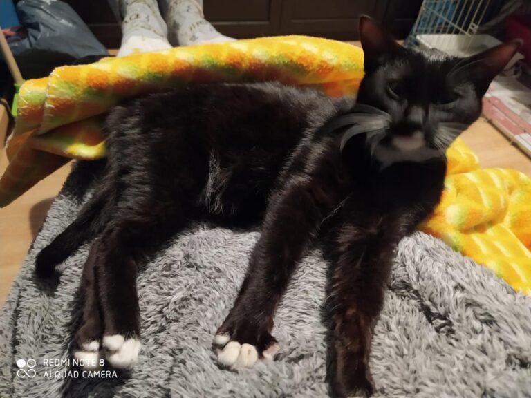 multimedia-foto69254-540-1