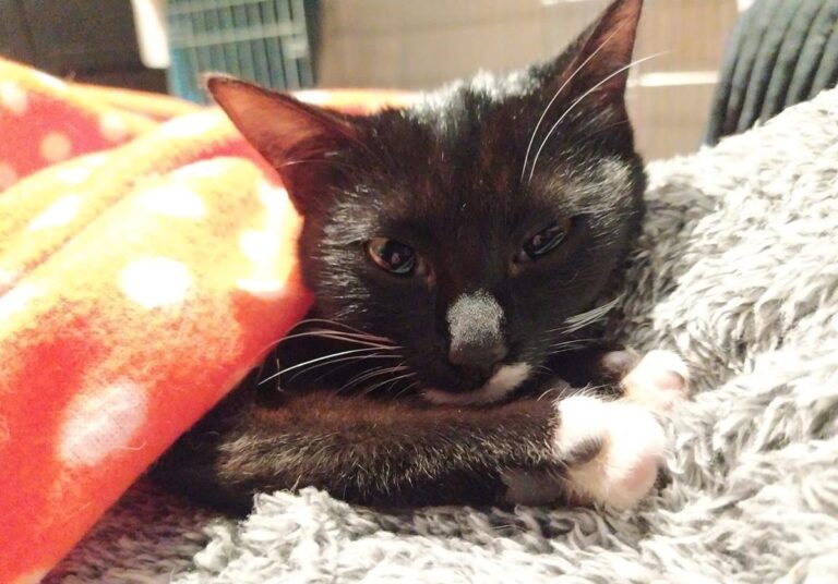 multimedia-foto69255-541-1