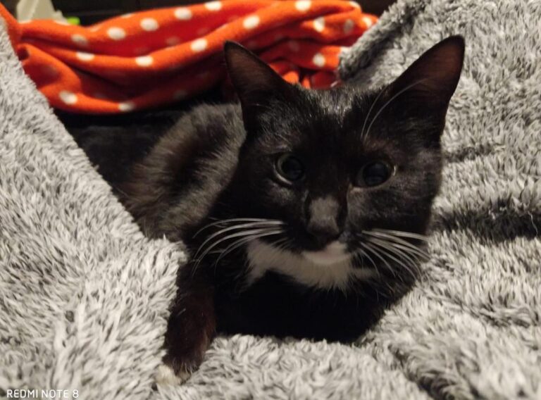 multimedia-foto69256-541-1