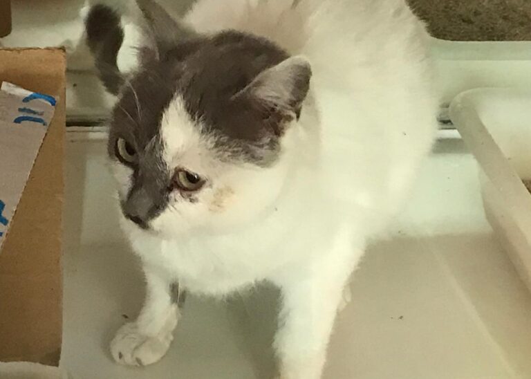 multimedia-foto69258-846-1