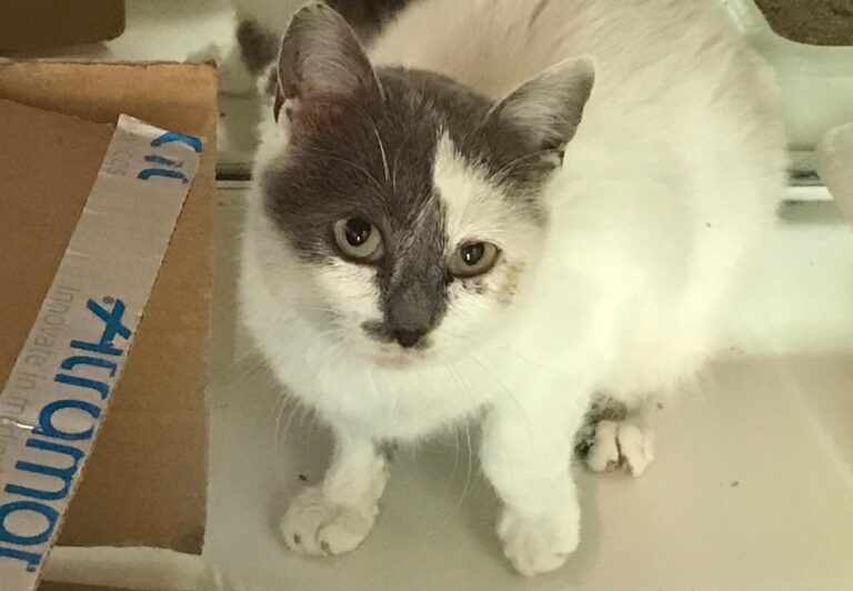 multimedia-foto69259-846-1