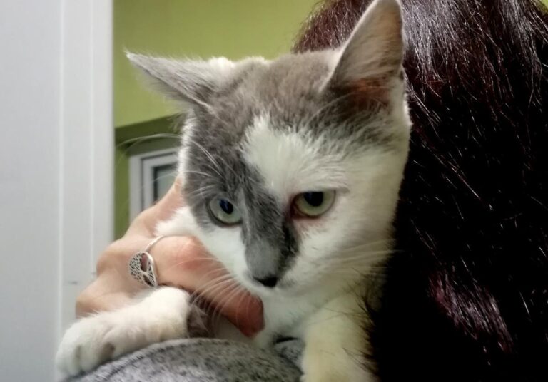 multimedia-foto69261-848-1