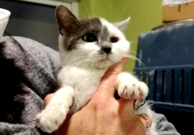 multimedia-foto69262-848-1