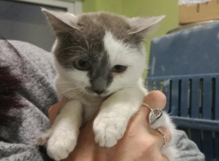 multimedia-foto69263-849-1