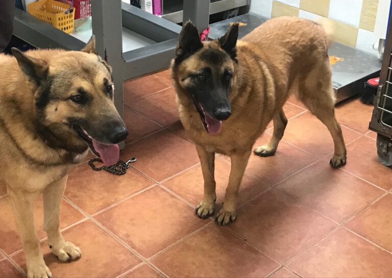 multimedia-foto69283-836-1