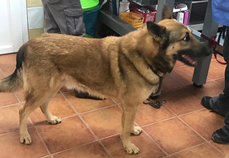 multimedia-foto69285-837-1