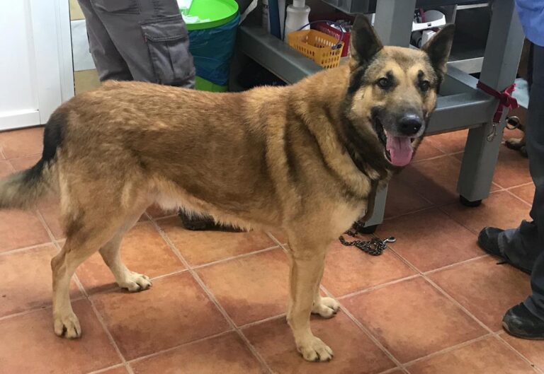 multimedia-foto69287-838-1