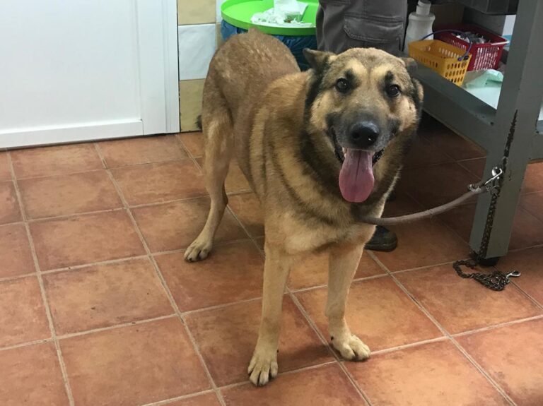 multimedia-foto69288-838-1