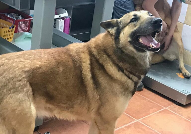 multimedia-foto69289-839-1