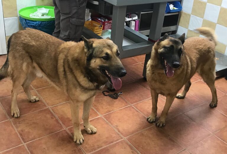 multimedia-foto69290-45-1