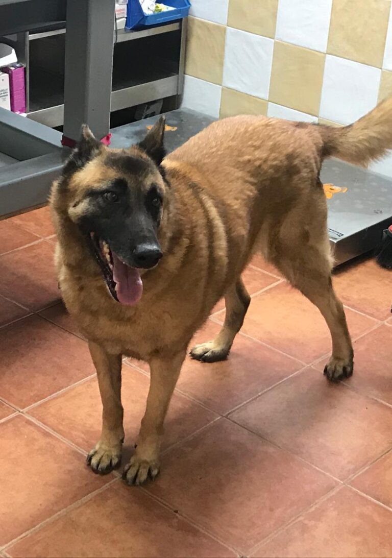 multimedia-foto69292-46-1