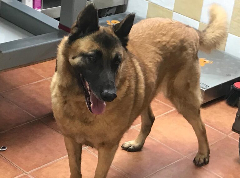 multimedia-foto69293-47-1