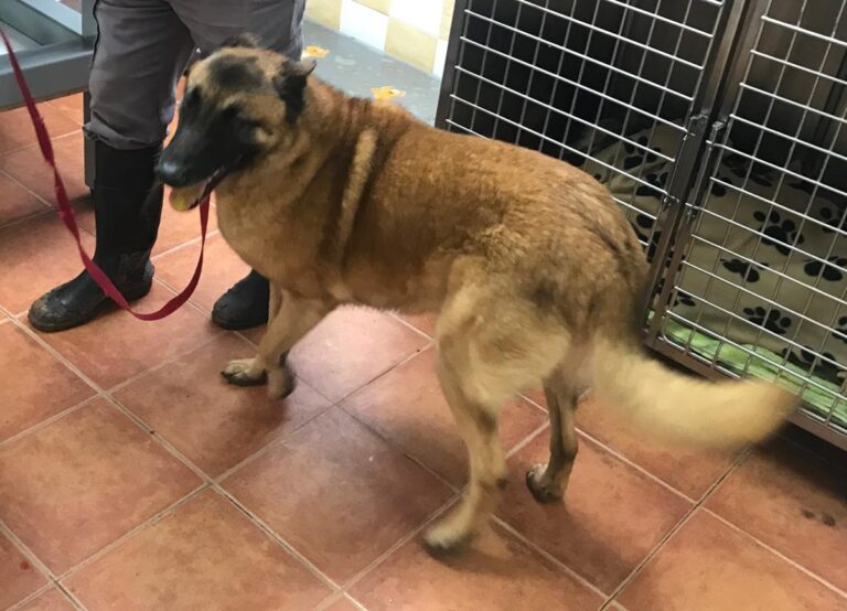 multimedia-foto69294-48-1