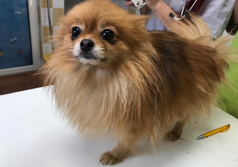 multimedia-foto69316-224-1