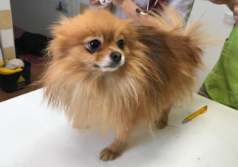 multimedia-foto69317-225-1