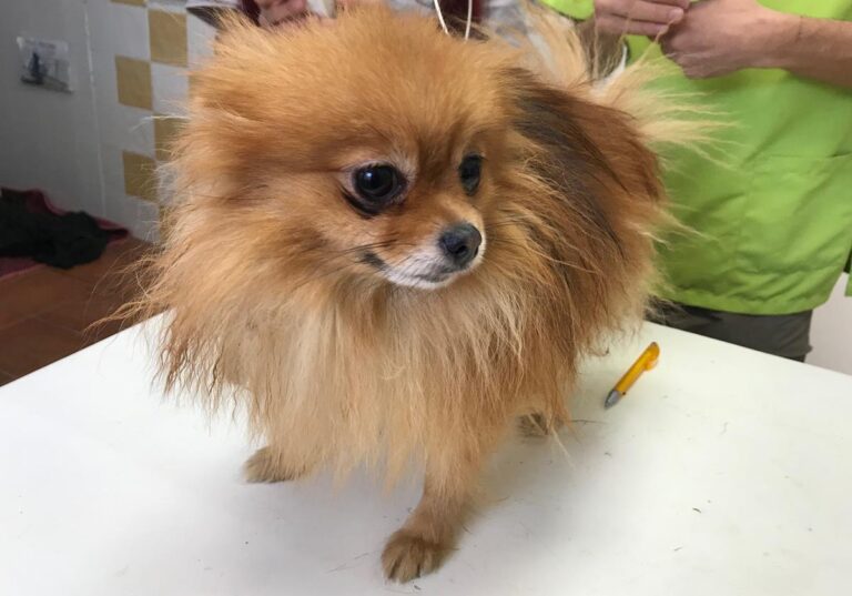 multimedia-foto69318-225-1