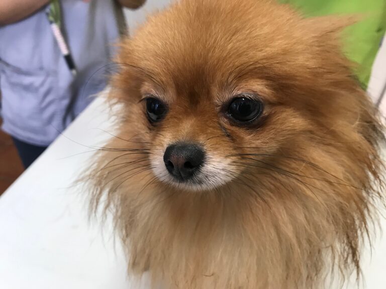 multimedia-foto69319-226-1