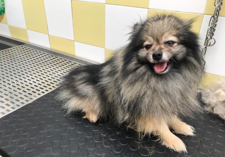 multimedia-foto69333-862-1