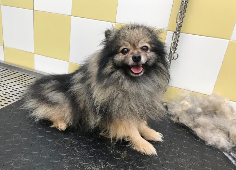 multimedia-foto69334-862-1