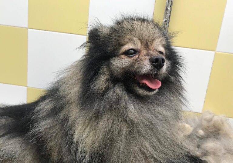 multimedia-foto69335-863-1