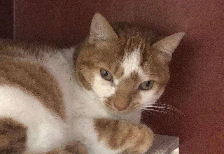 multimedia-foto69337-123-1