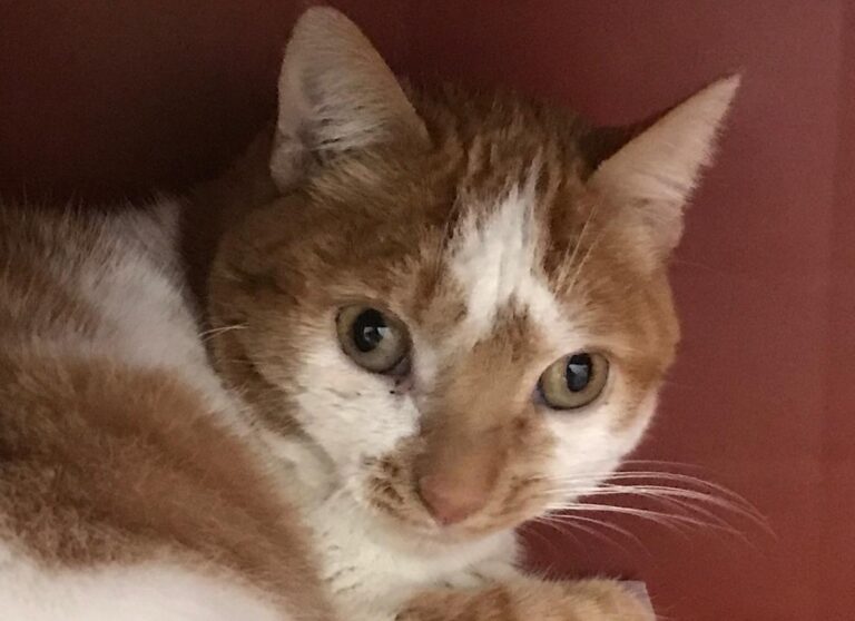 multimedia-foto69338-124-1