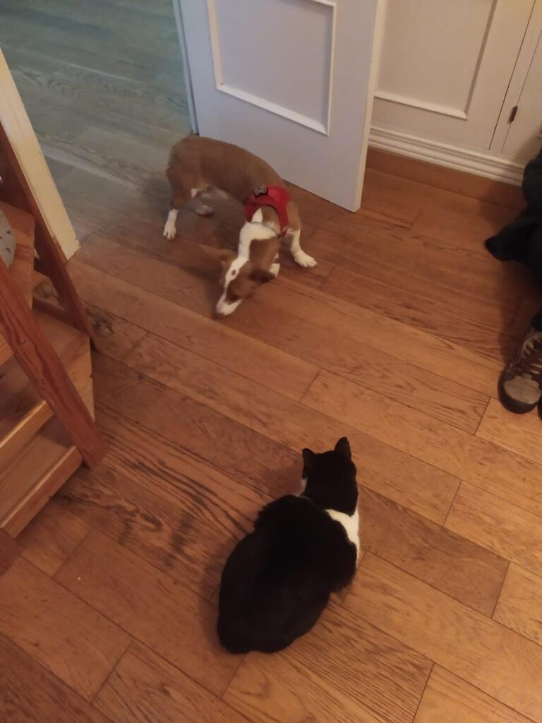 multimedia-foto69350-854-1