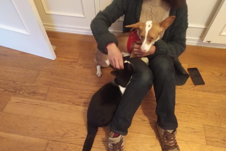 multimedia-foto69351-855-1