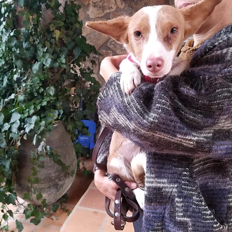 multimedia-foto69352-855-1