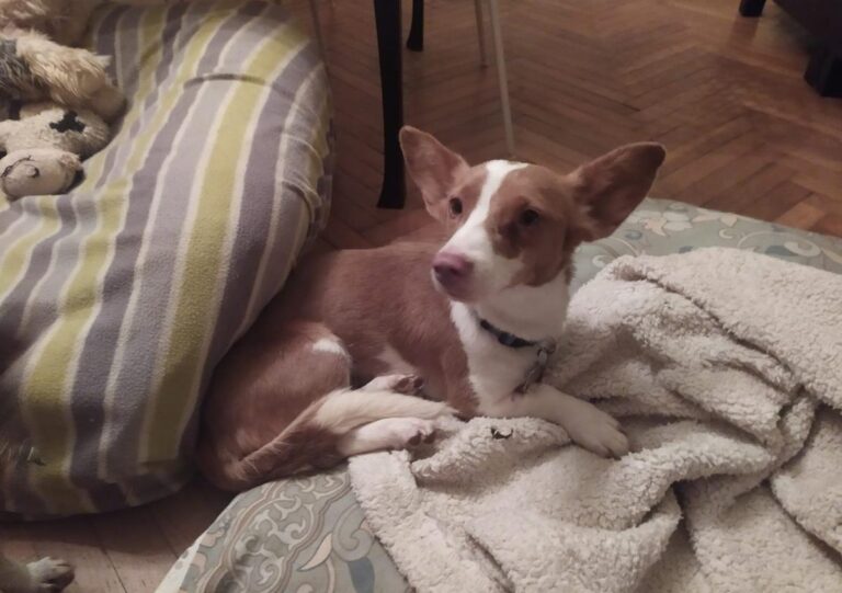 multimedia-foto69353-856-1