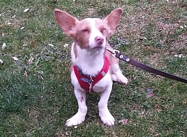 multimedia-foto69354-857-1