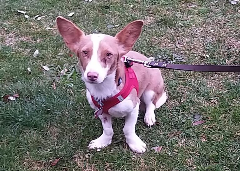 multimedia-foto69355-857-1