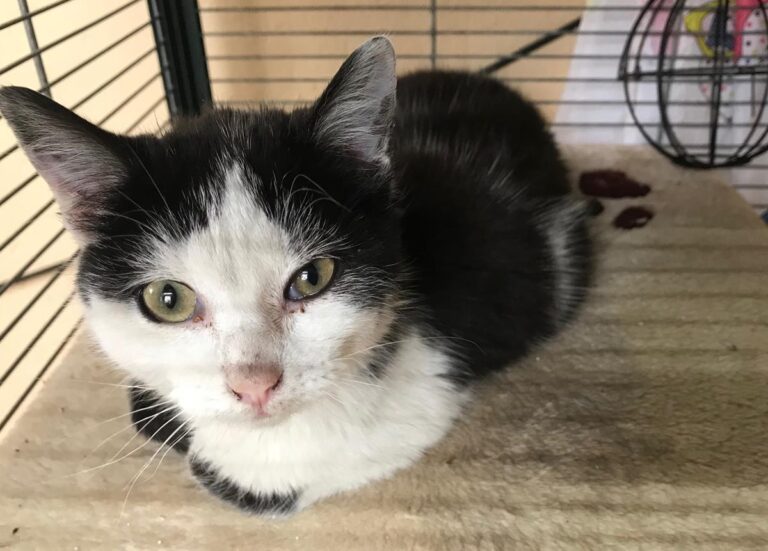 multimedia-foto69378-347-1