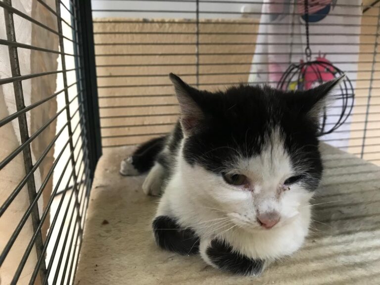 multimedia-foto69379-347-1