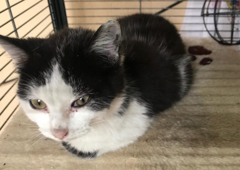 multimedia-foto69381-348-1