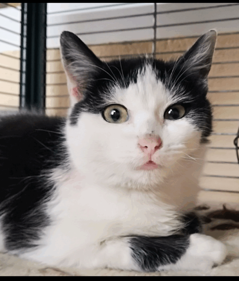 multimedia-foto69382-349-1