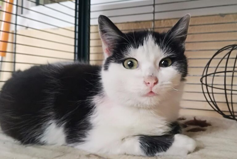 multimedia-foto69384-350-1