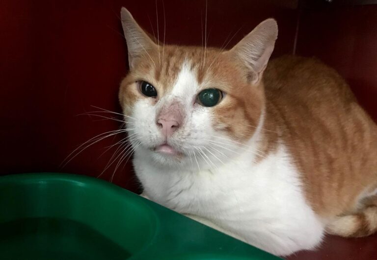 multimedia-foto69405-610-1