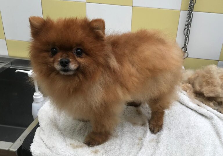 multimedia-foto69416-49-1