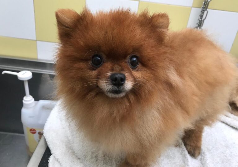 multimedia-foto69417-50-1