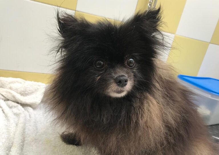 multimedia-foto69423-179-1