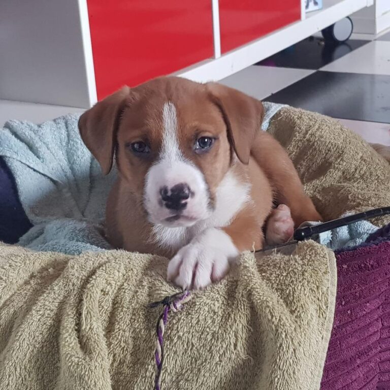 multimedia-foto69428-432-1