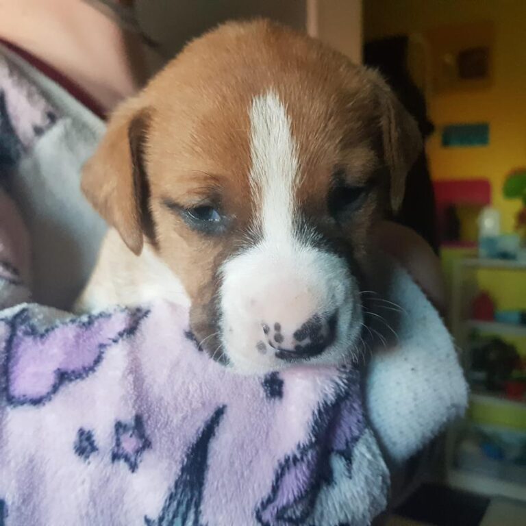 multimedia-foto69429-433-1