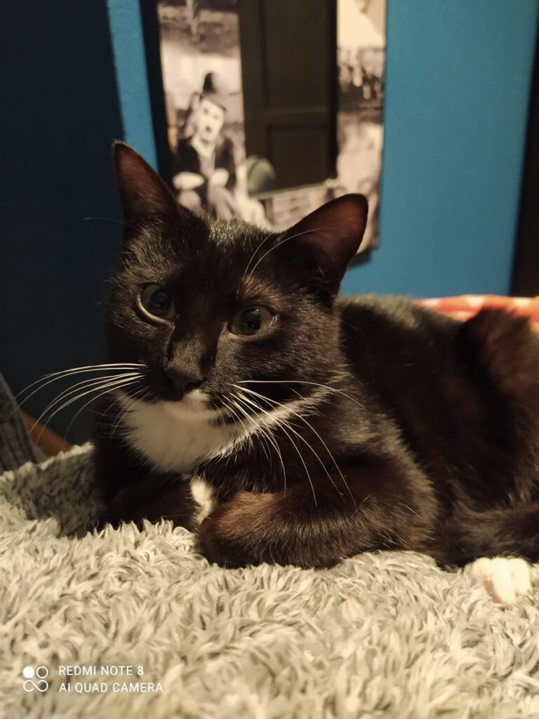 multimedia-foto69448-995-1