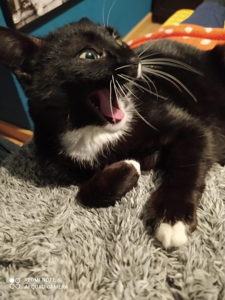 multimedia-foto69449-996-1