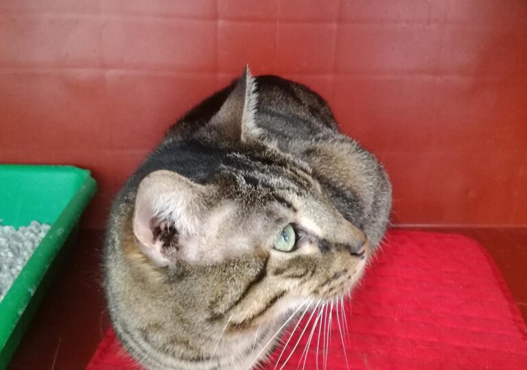 multimedia-foto69545-57-1